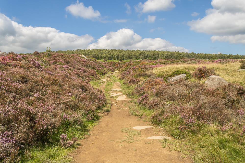 Longshaw Estate Longshaw Estate